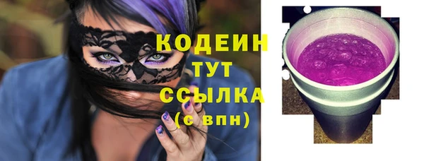 ECSTASY Алзамай