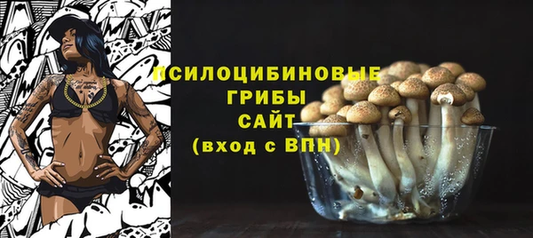 ECSTASY Алзамай
