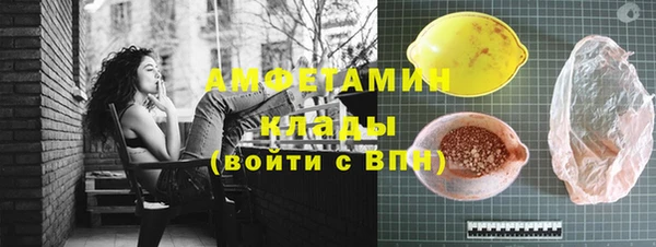 ECSTASY Алзамай